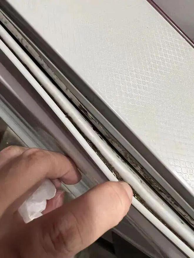 些东西都是“霉菌重灾区”很多人每天都在用爱游戏(ayx)中国网站惊到了！家里这(图3)