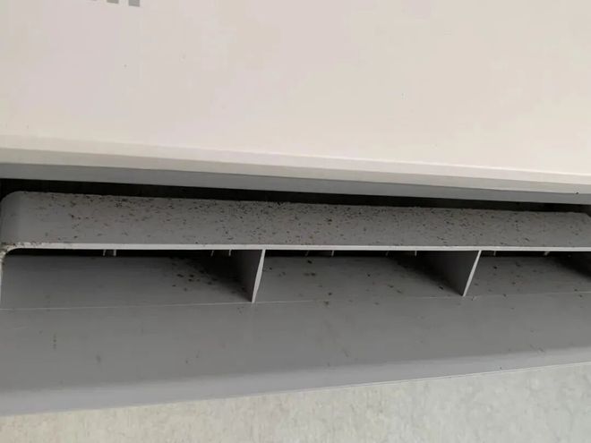 些东西都是“霉菌重灾区”很多人每天都在用爱游戏(ayx)中国网站惊到了！家里这(图8)