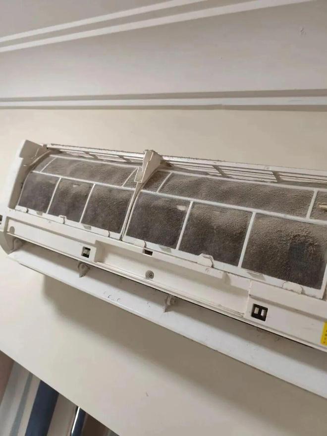 些东西都是“霉菌重灾区”很多人每天都在用爱游戏(ayx)中国网站惊到了！家里这(图7)