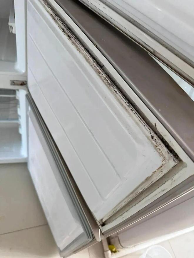 些东西都是“霉菌重灾区”很多人每天都在用爱游戏(ayx)中国网站惊到了！家里这(图12)