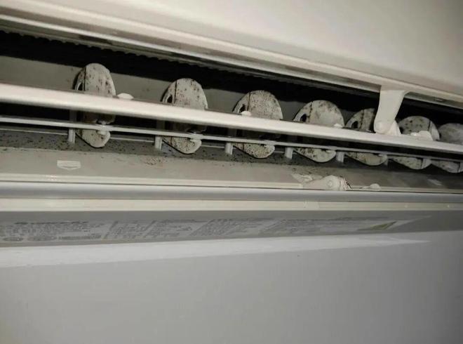 些东西都是“霉菌重灾区”很多人每天都在用爱游戏(ayx)中国网站惊到了！家里这(图14)