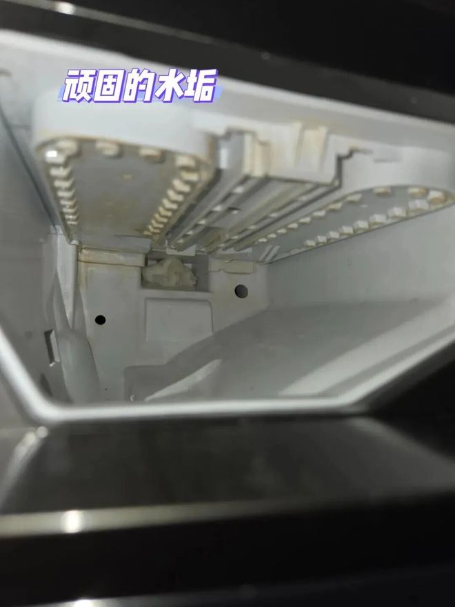 些东西都是“霉菌重灾区”很多人每天都在用爱游戏(ayx)中国网站惊到了！家里这(图19)