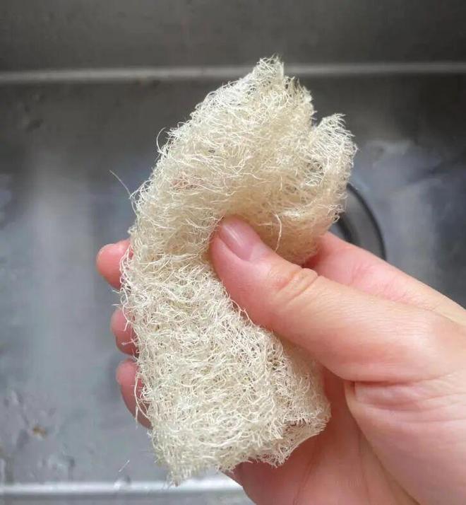 些东西都是“霉菌重灾区”很多人每天都在用爱游戏(ayx)中国网站惊到了！家里这(图29)