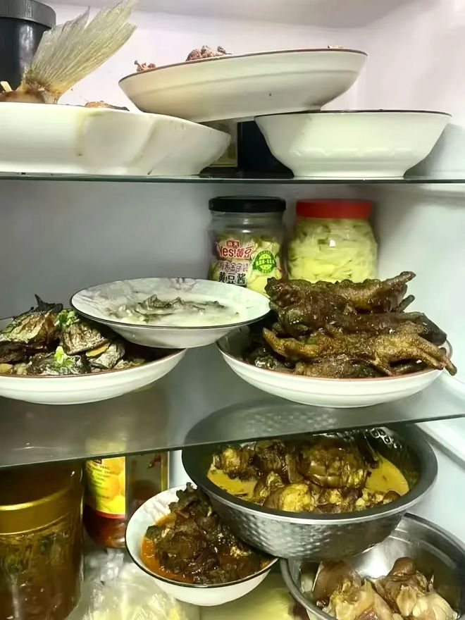 冰箱？过来人说出实情：4个缺点太突出爱游戏平台为什么不建议买“双开门”(图14)