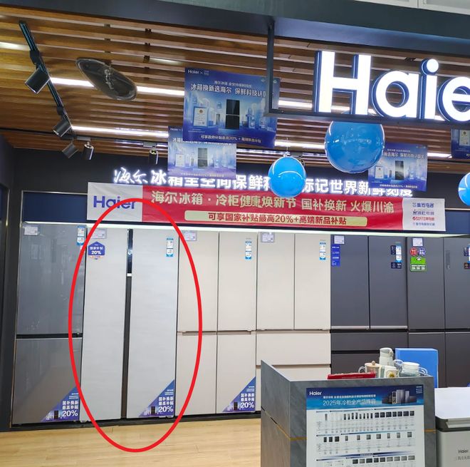 冰箱？过来人说出实情：4个缺点太突出爱游戏平台为什么不建议买“双开门”(图30)